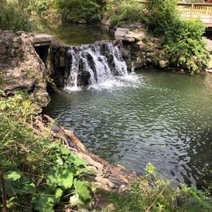 Meet your Posher, Deb